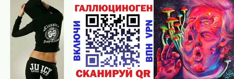 дарнет шоп  Осинники  Псилоцибиновые грибы Psilocybe 
